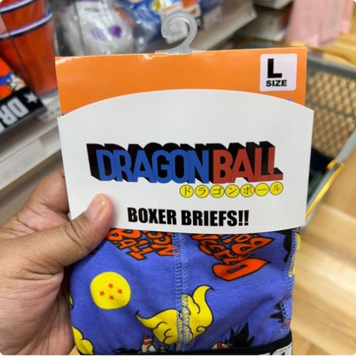 [9/30/2024-17:05-175] Adult Boxer Dragon Ball Sz L Only 