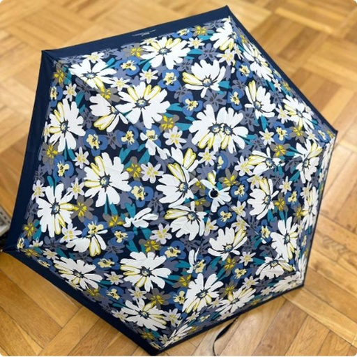 [9/30/2024-19:18-340] WPC umbrella is very lightweight only 190 grams of UV & Rain