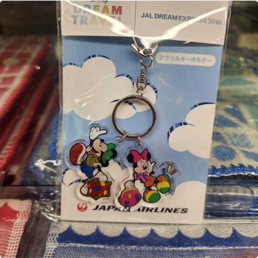 [10/1/2024-18:09-180] Special Disney Keychain 