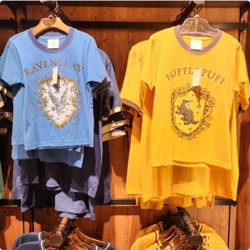 [10/4/2024-12:13-580] Clothes Harry Potter Kids 