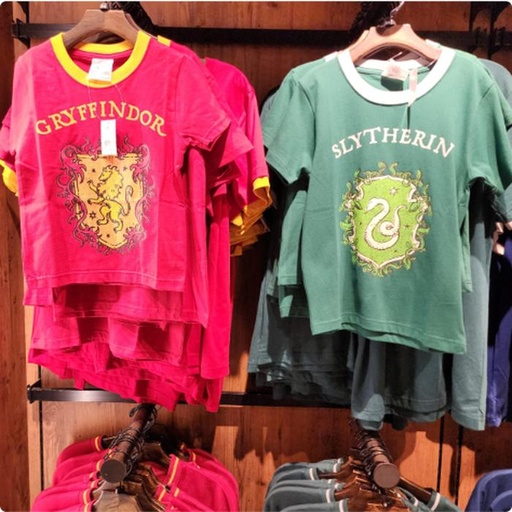 [10/4/2024-12:13-580] Clothes Harry Potter Kids 