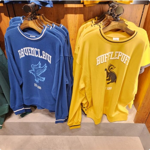 [10/4/2024-12:13-850] Harry Potter Longshirt @Each