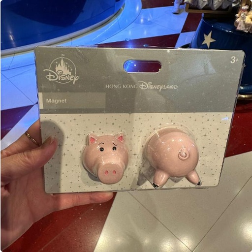 [10/31/2024-19:36-280] Ham Magnet