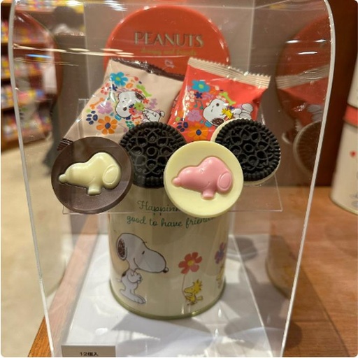 [11/7/2024-12:26-340] Snoopy Cookie Chocolate Tin Case Usj