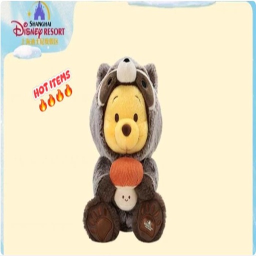 [11/21/2024-19:37-660] 🦝 Pooh Raccoon - Plush medium 23 cm 