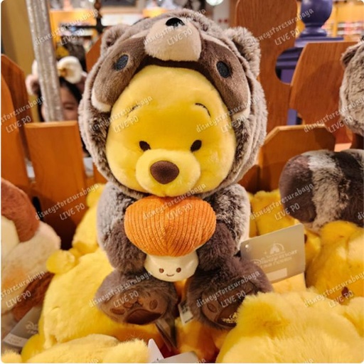 [11/23/2024-08:46-660] Raccoon Pooh Plush Medium