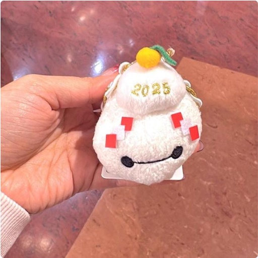 [12/7/2024-13:29-230] Tsum Tsum Baymax Year