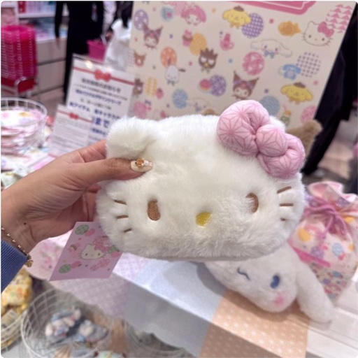 [12/26/2024-14:48-440] Pouch Hello Kitty