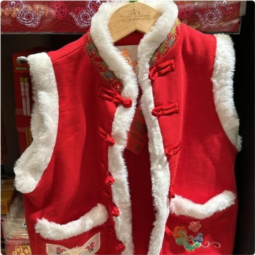 [12/26/2024-16:28-850] Vest CNY Linabell for Kids