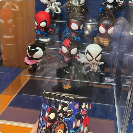 [12/29/2024-17:08-280] Blindbox Spiderman