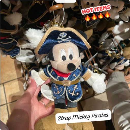 [12/30/2024-09:44-None440] Strap Mickey Pirates