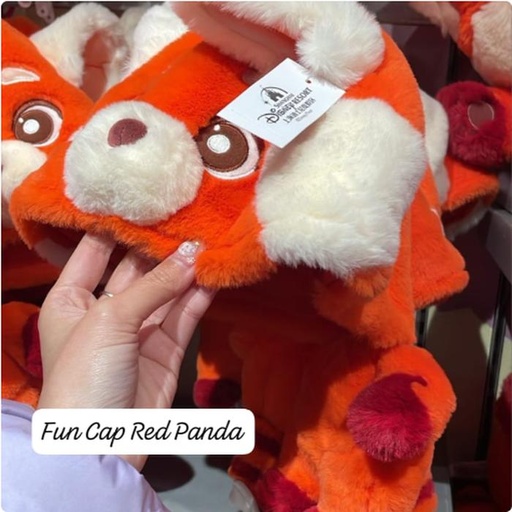 [1/1/2025-09:57-690] Fun Cap Red Panda