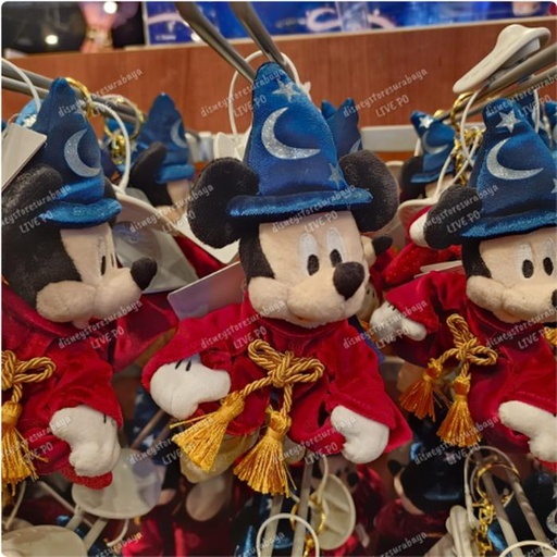 [1/1/2025-15:38-490] Strap Mickey Fantasia