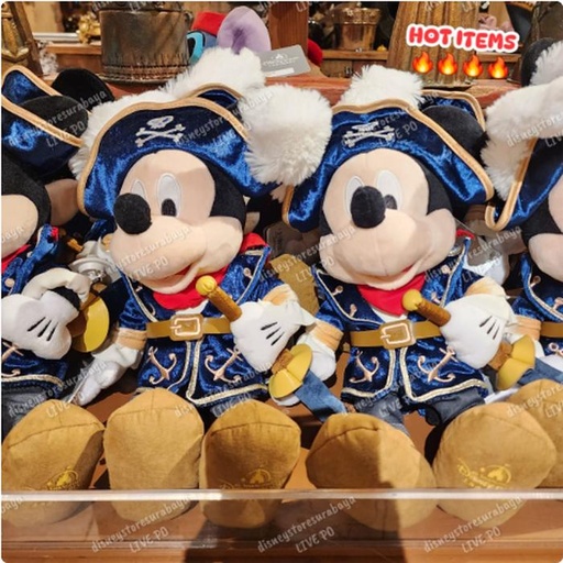 [1/7/2025-13:04-630] Mickey Plush Pirates