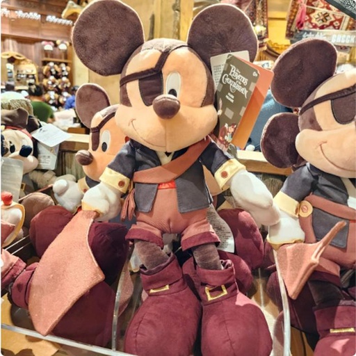 [1/8/2025-08:58-680] Big Plush Mickey Exclusive Pirates 