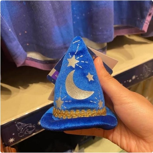 [1/10/2025-08:41-300] Fantasia Hairclip