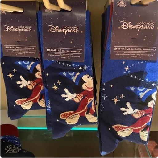 [1/10/2025-16:25-350] Socks Fantasia Adult