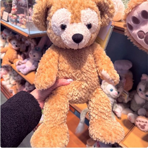 [1/16/2025-10:38-600] Plush Duffy size small