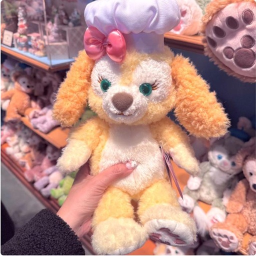 [1/16/2025-10:38-630] Plush Cookie Size Small
