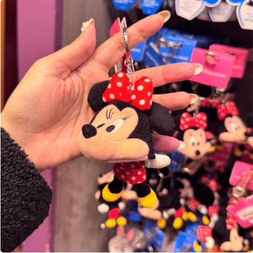 [1/17/2025-15:27-235] Keychain