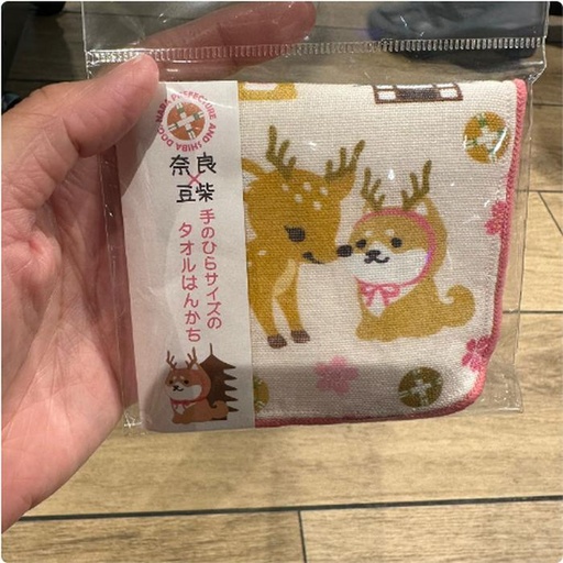 [1/25/2025-09:45-100] Mintow Shiba Rusa Nara Prefecture