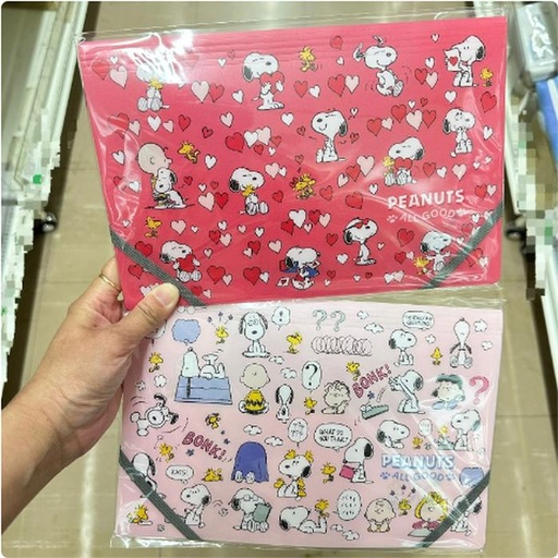 [1/25/2025-13:45-125] Snoopy A5 Clear Folder