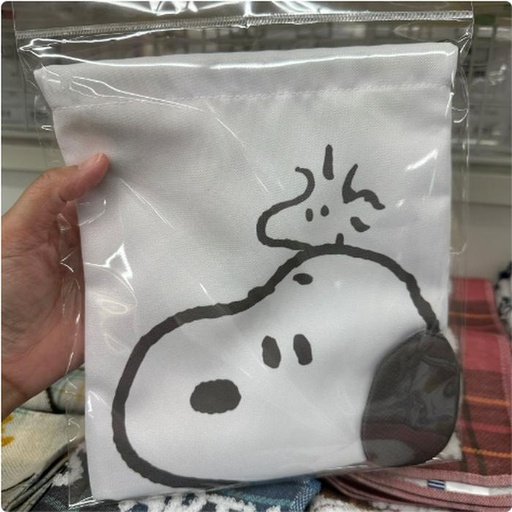 [1/25/2025-14:39-190] Shaved Pouch Snoopy Classic