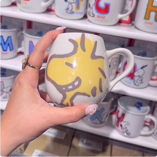 [1/25/2025-14:54-320] Woodstock Ceramic Glass