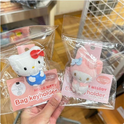 [1/18/2025-19:11-250] HK / MM Bag Keyholder