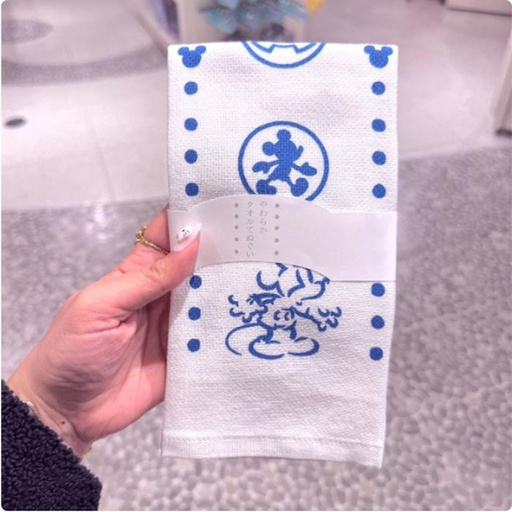 [1/18/2025-21:29-170] Gauze Towel Mickey