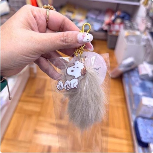 [1/20/2025-13:57-150] Andy Keychain Fur