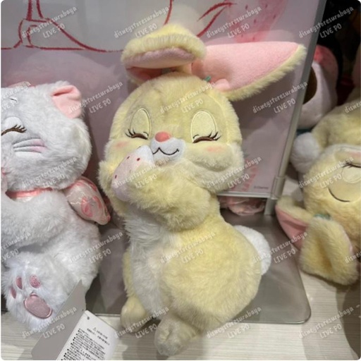 [1/28/2025-08:41-650] Plush Miss Bunny