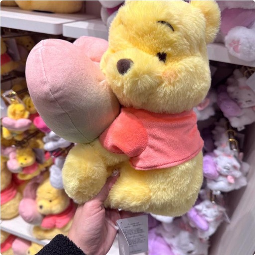 [1/21/2025-07:33-760] Vals Collection - Plush Pooh 
