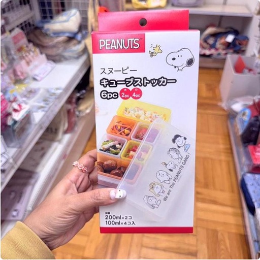 [1/21/2025-22:33-275] Snoopy Cube Stocker contents 6 pcs Made in japan