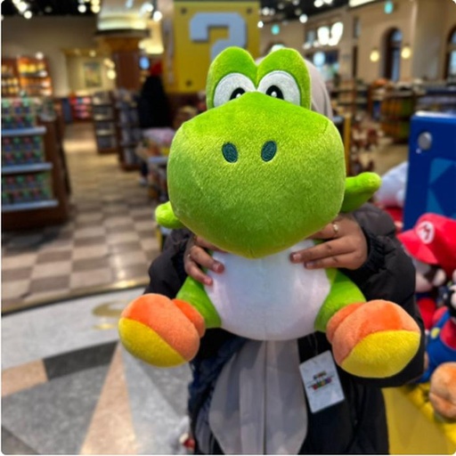 [1/23/2025-08:11-None1700] Large Yoshi Plush