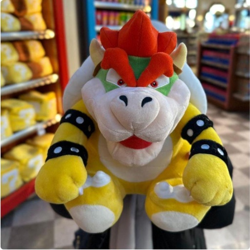 [1/23/2025-08:12-880] Bowser Large Plush