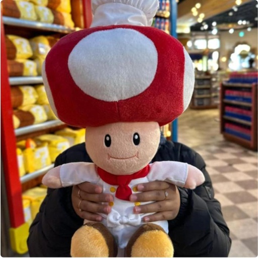 [1/23/2025-08:16-None1500] Chef toad Big Plush 