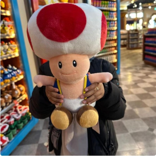 [1/23/2025-08:17-None1700] Big Plush Toad 