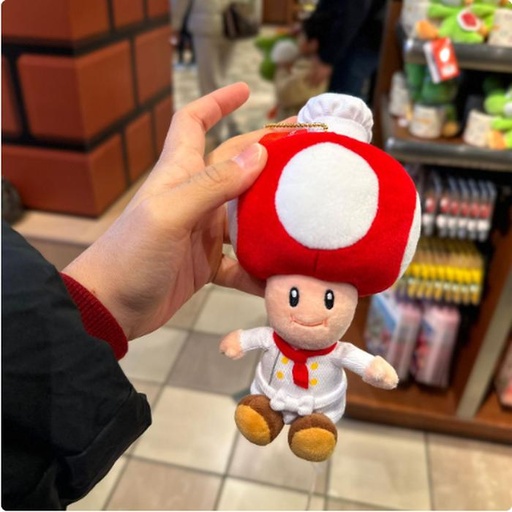 [1/23/2025-08:20-400] Keychain Plush Chef Toad