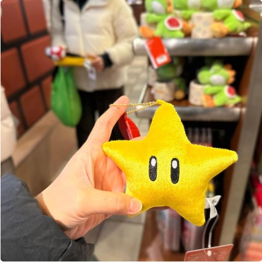[1/23/2025-08:22-330] Keychain Plush Star
