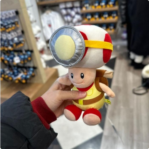 [1/23/2025-10:03-580] Plush Toad Adventure