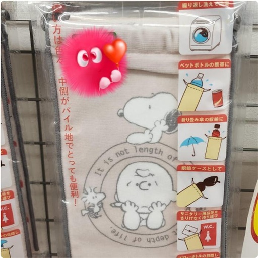 [1/23/2025-19:53-120] Multipurpose Case Snoopy 