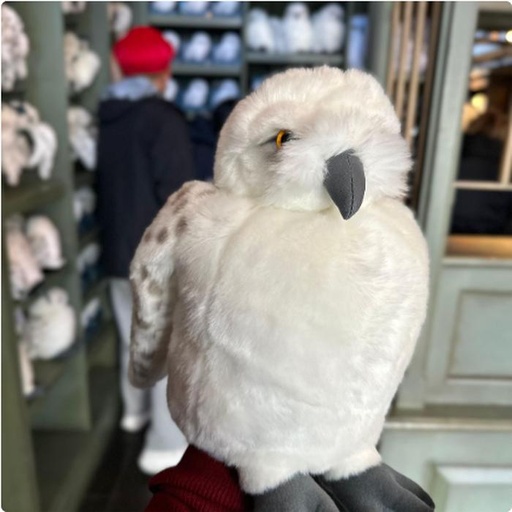 [1/26/2025-07:22-740] Big Hedwig Plush