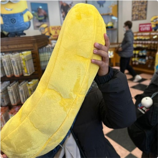 [1/26/2025-09:03-840] Big Banana Plush 