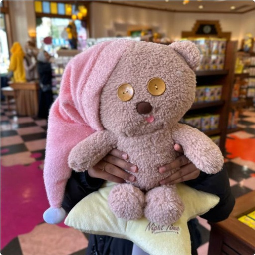 [1/26/2025-09:54-790] Big Plush Tim Sweet Dream Star