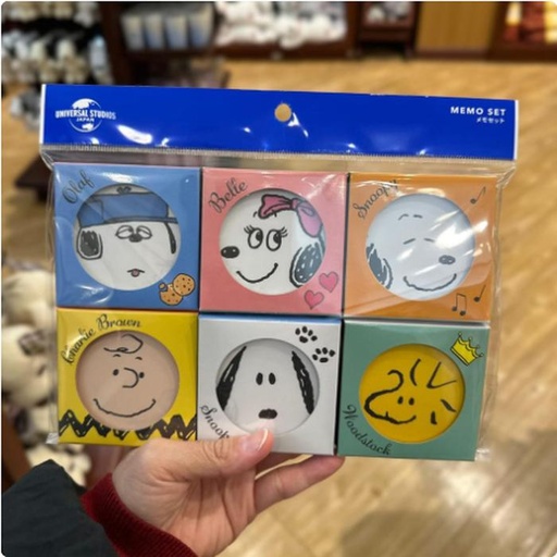 [1/26/2025-11:20-310] Memo Snoopy Sets