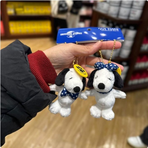 [1/26/2025-11:47-430] Sets Snoopy Strap