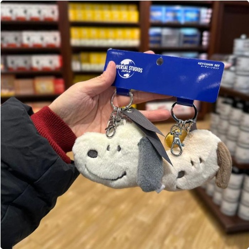 [1/26/2025-11:48-440] Keychain Sets Snoopy