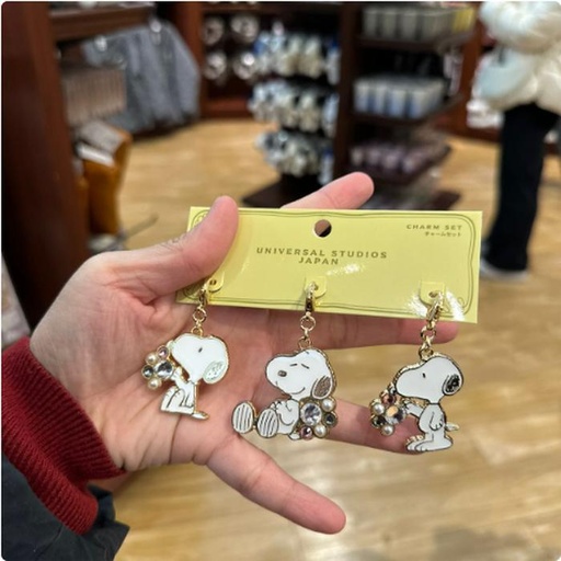 [1/26/2025-11:48-400] Keychain sets Snoopy contents 3 